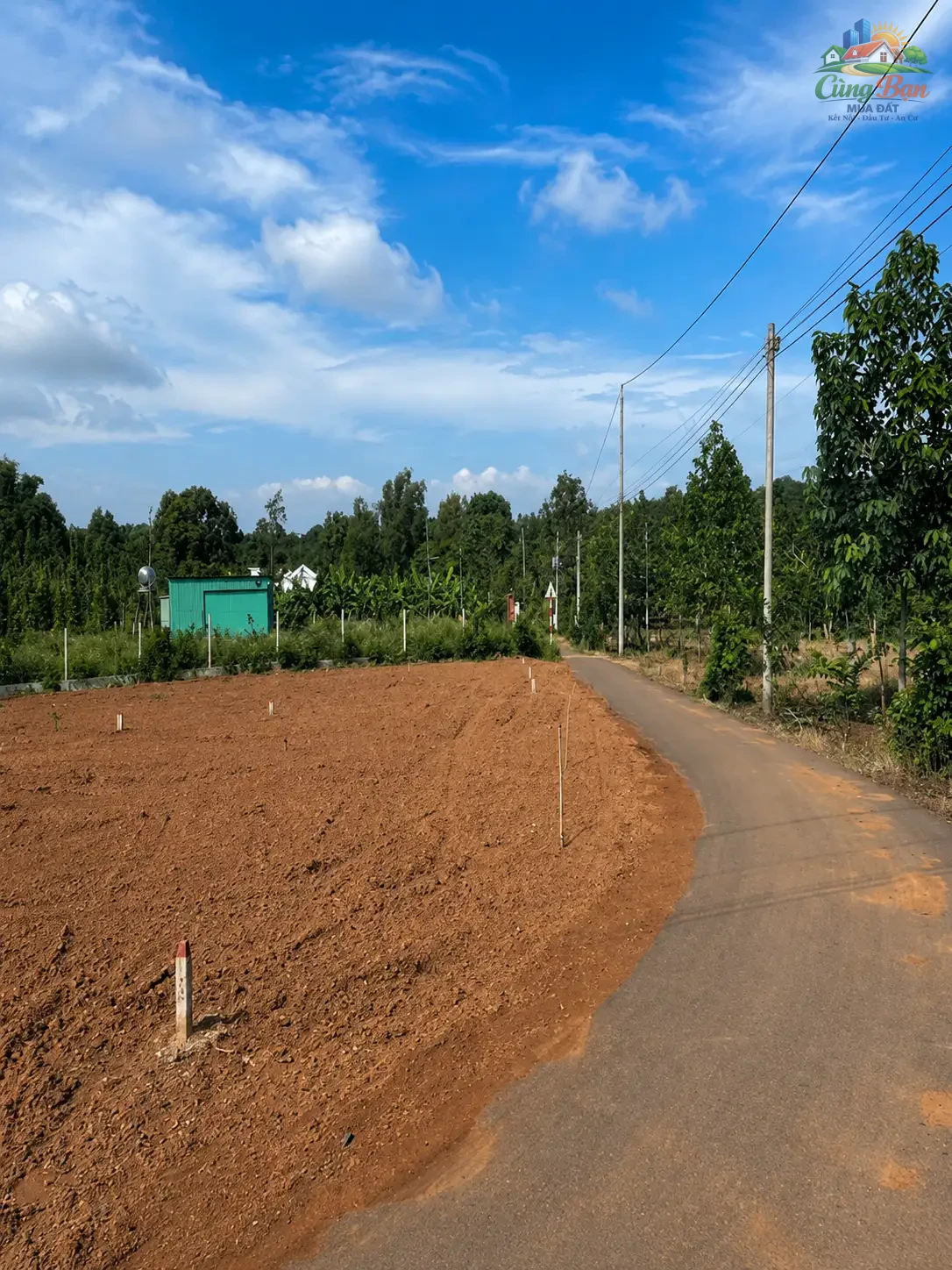 ĐẤT XÃ SÔNG RAY, ĐỒNG NAI 1.286,5 m² 4 TỶ 520 Triệu Sổ hồng riêng | 100% đất ở | Đường nhựa xe hơi tới đất - Ảnh 2