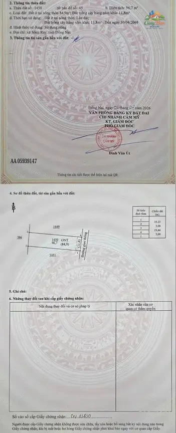 ĐẤT XÃ SÔNG RAY, ĐỒNG NAI CHỈ 320 TRIỆU Sổ hồng riêng | 100% đất ở | Đường bê tông xe hơi tới đất - Ảnh 7