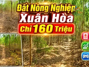 ĐẤT NÔNG NGHIỆP XÃ XUÂN HÒA ,ĐỒNG NAI, CHỈ 160 TRIỆU Sổ hồng riêng