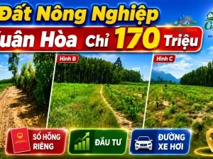 ĐẤT NÔNG NGHIỆP XÃ XUÂN HÒA ,ĐỒNG NAI, CHỈ 170 TRIỆU Sổ hồng riêng