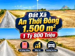 ĐẤT XÃ AN THỚI ĐÔNG ,TP.HCM, 1 TỶ 800 TRIỆU Sổ hồng riêng
