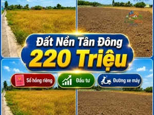 ĐẤT NỀN ĐỒNG THÁP ,XÃ TÂN ĐÔNG, 220 TRIỆU Sổ hồng riêng