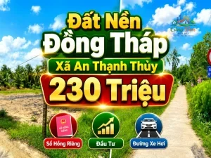 ĐẤT NỀN ĐỒNG THÁP ,XÃ AN THẠNH THỦY 230 TRIỆU Sổ hồng riêng | 100% đất ở |