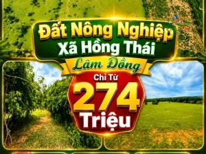 ĐẤT NÔNG NGHIỆP XÃ HỒNG THÁI ,LÂM ĐỒNG, CHỈ TỪ 274 TRIỆU Sổ hồng riêng