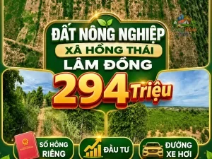 ĐẤT NÔNG NGHIỆP XÃ HỒNG THÁI ,LÂM ĐỒNG, CHỈ 294 TRIỆU Sổ hồng riêng