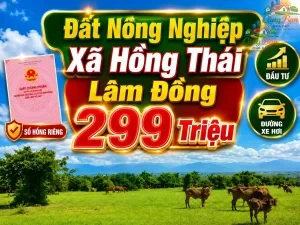 ĐẤT NÔNG NGHIỆP XÃ HỒNG THÁI ,LÂM ĐỒNG, CHỈ 299 TRIỆU Sổ hồng riêng