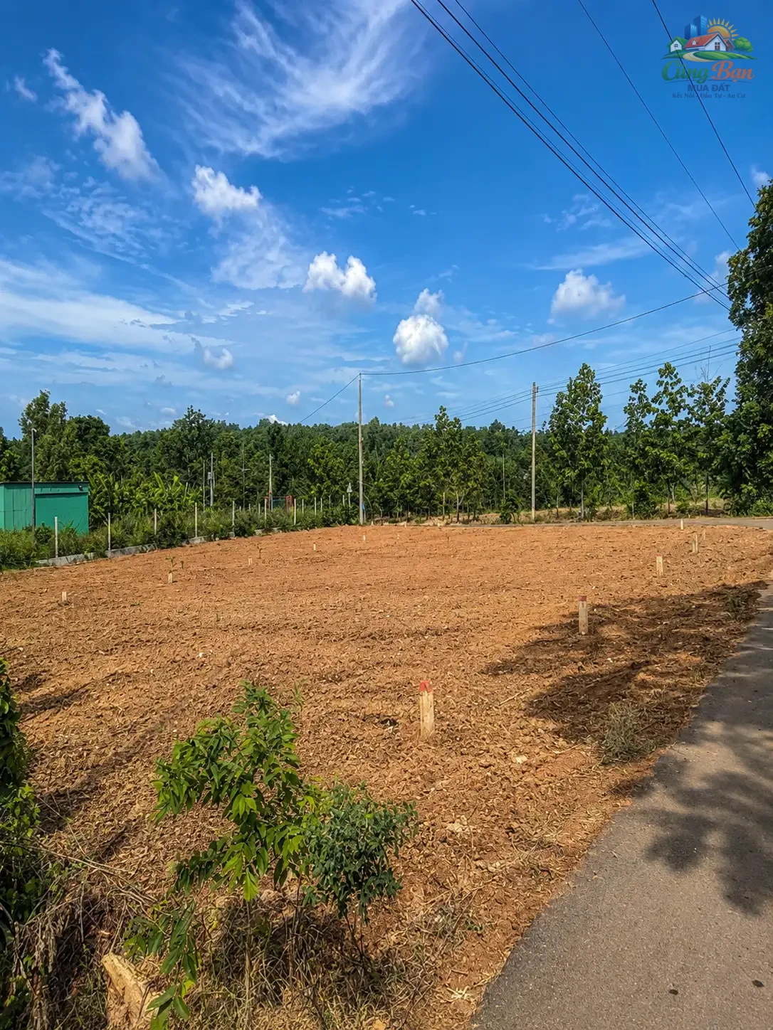 ĐẤT XÃ SÔNG RAY, ĐỒNG NAI 1.286,5 m² 4 TỶ 520 Triệu Sổ hồng riêng | 100% đất ở | Đường nhựa xe hơi tới đất - Ảnh 4