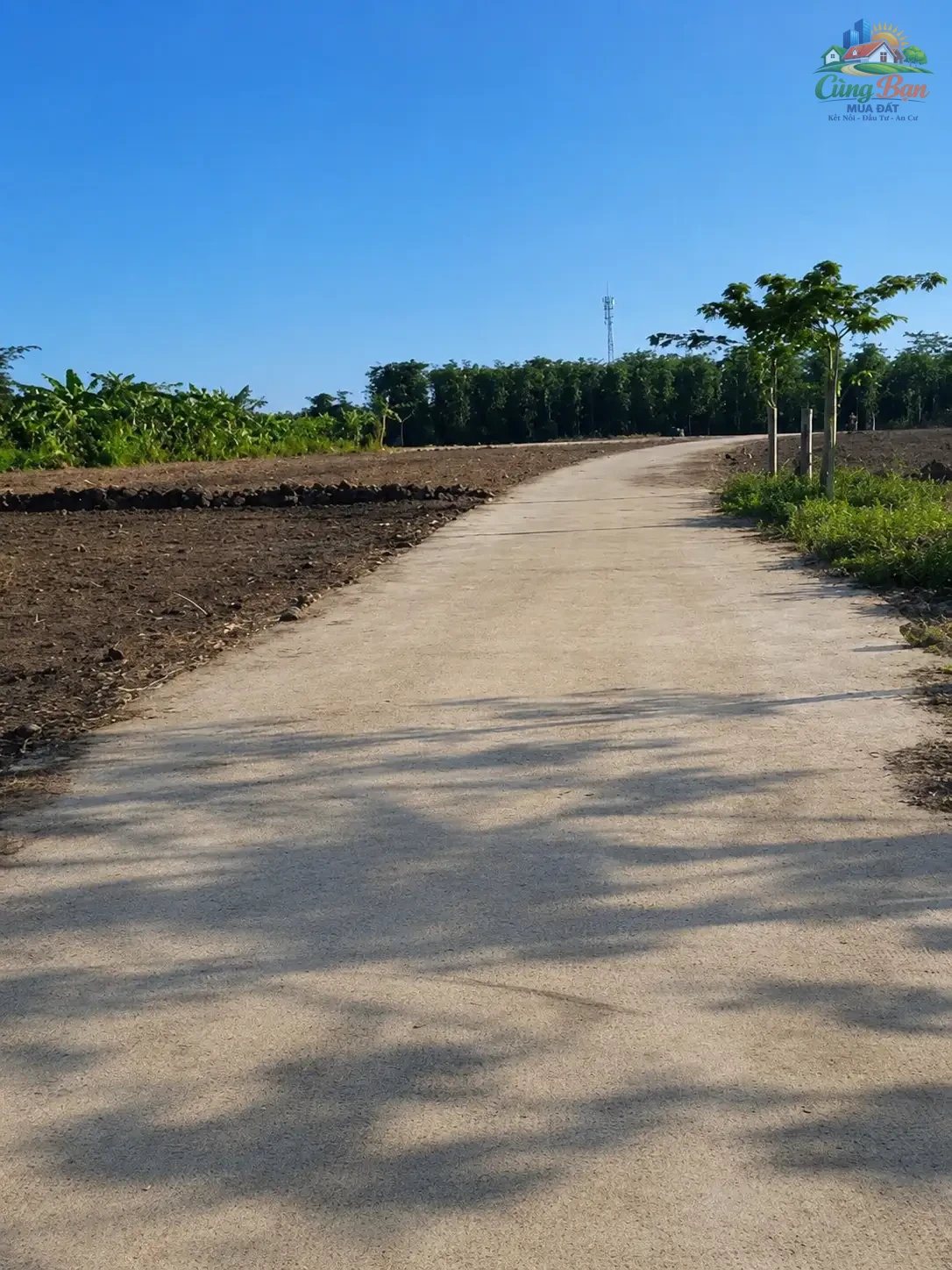 ĐẤT XÃ SÔNG RAY, ĐỒNG NAI CHỈ 320 TRIỆU Sổ hồng riêng | 100% đất ở | Đường bê tông xe hơi tới đất - Ảnh 4