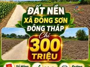 ĐẤT NỀN ĐỒNG THÁP ,XÃ ĐỒNG SƠN, 300 TRIỆU Sổ hồng riêng | 100% đất ở |