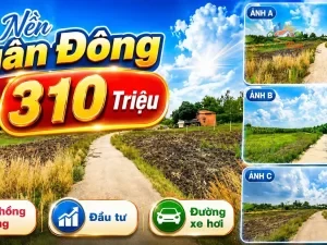 ĐẤT NỀN XÃ XUÂN ĐÔNG, ĐỒNG NAI CHỈ 310 TRIỆU Sổ hồng riêng | 100% đất ở |