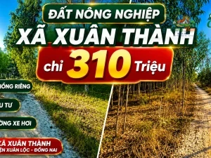 ĐẤT NÔNG NGHIỆP XÃ XUÂN THÀNH ,ĐỒNG NAI, CHỈ 310 TRIỆU Sổ hồng riêng