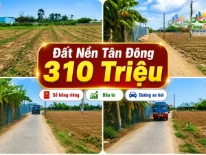 ĐẤT NỀN ĐỒNG THÁP ,XÃ TÂN ĐÔNG, 310 TRIỆU Sổ hồng riêng