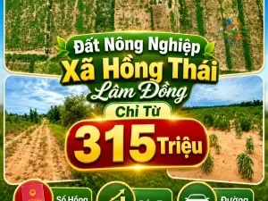 ĐẤT NÔNG NGHIỆP XÃ HỒNG THÁI ,LÂM ĐỒNG, CHỈ TỪ 315 TRIỆU Sổ hồng riêng