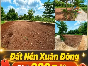 ĐẤT NỀN XÃ XUÂN ĐÔNG, ĐỒNG NAI CHỈ 320 TRIỆU Sổ hồng riêng | 100% đất ở |