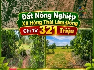 ĐẤT NÔNG NGHIỆP XÃ HỒNG THÁI ,LÂM ĐỒNG, CHỈ TỪ 321 TRIỆU Sổ hồng riêng