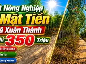 ĐẤT NÔNG NGHIỆP 2 MẶT TIỀN XÃ XUÂN THÀNH ,ĐỒNG NAI, CHỈ 350 TRIỆU Sổ hồng riêng