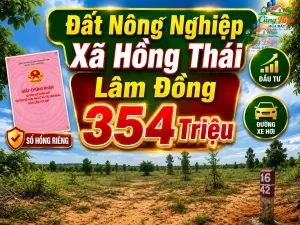 ĐẤT NÔNG NGHIỆP XÃ HỒNG THÁI ,LÂM ĐỒNG, CHỈ 354 TRIỆU Sổ hồng riêng