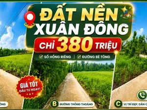ĐẤT NỀN XÃ XUÂN ĐÔNG, ĐỒNG NAI CHỈ 380 TRIỆU Sổ hồng riêng | 100% đất ở |