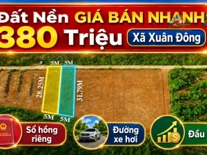 Bán Đất Nền 108,7m² Xuân Đông Đồng Nai Giá 380 Triệu | Sổ Hồng Riêng, 100% Đất Ở