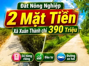 ĐẤT NÔNG NGHIỆP 2 MẶT TIỀN XÃ XUÂN THÀNH ,ĐỒNG NAI, CHỈ 390 TRIỆU Sổ hồng riêng