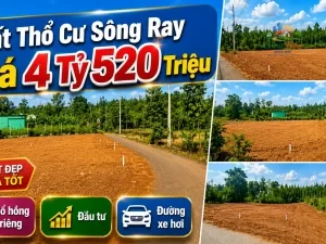 ĐẤT XÃ SÔNG RAY, ĐỒNG NAI 1.286,5 m² 4 TỶ 520 Triệu Sổ hồng riêng | 100% đất ở | Đường nhựa xe hơi tới đất