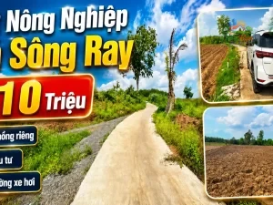 ĐẤT NÔNG NGHIỆP XÃ SÔNG RAY ,ĐỒNG NAI, 410 TRIỆU Sổ hồng riêng