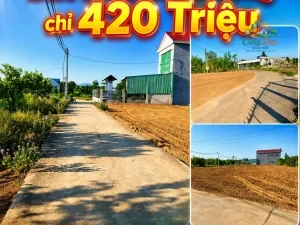 ĐẤT NỀN XÃ XUÂN ĐÔNG, ĐỒNG NAI CHỈ 420 TRIỆU Sổ hồng riêng | 100% đất ở |