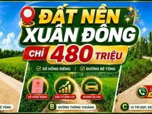 ĐẤT NỀN XÃ XUÂN ĐÔNG, ĐỒNG NAI CHỈ 480 TRIỆU Sổ hồng riêng | 100% đất ở |