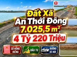 ĐẤT XÃ AN THỚI ĐÔNG ,TP.HCM, 4 TỶ 918 TRIỆU Sổ hồng riêng