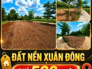 ĐẤT NỀN XÃ XUÂN ĐÔNG, ĐỒNG NAI CHỈ 500 TRIỆU Sổ hồng riêng | 100% đất ở |