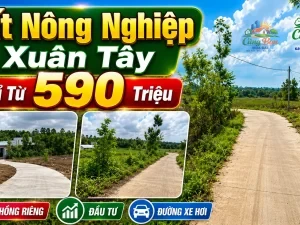 ĐẤT NÔNG NGHIỆP XÃ XUÂN ĐÔNG ,ĐỒNG NAI, CHỈ TỪ 590 TRIỆU Sổ hồng riêng