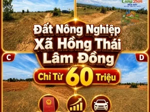 ĐẤT NÔNG NGHIỆP XÃ HỒNG THÁI ,LÂM ĐỒNG, CHỈ TỪ 60 TRIỆU Sổ hồng riêng