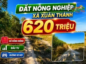 ĐẤT NÔNG NGHIỆP XÃ XUÂN THÀNH ,ĐỒNG NAI, CHỈ 620 TRIỆU Sổ hồng riêng