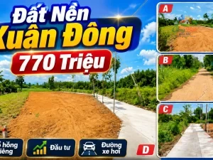 ĐẤT NỀN 2 MẶT TIỀN BÊ TÔNG XÃ XUÂN ĐÔNG, ĐỒNG NAI CHỈ 770 TRIỆU Sổ hồng riêng | 100% đất ở |
