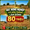 ĐẤT NÔNG NGHIỆP XÃ HÒA THẮNG ,LÂM ĐỒNG, CHỈ 80 TRIỆU Sổ hồng riêng