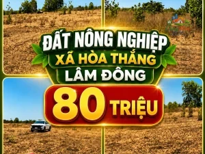 ĐẤT NÔNG NGHIỆP XÃ HÒA THẮNG ,LÂM ĐỒNG, CHỈ 80 TRIỆU Sổ hồng riêng
