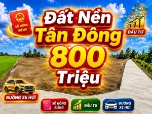 ĐẤT NỀN ĐỒNG THÁP ,XÃ TÂN ĐÔNG, 800 TRIỆU Sổ hồng riêng