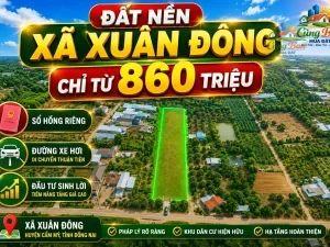 Bán Đất Xuân Đông Đồng Nai Giá 860 Triệu | Sổ Hồng Riêng, 100% Đất Ở, Đường Xe Hơi 3,5m