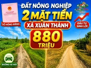 ĐẤT NÔNG NGHIỆP 2 MẶT TIỀN XÃ XUÂN THÀNH ,ĐỒNG NAI, CHỈ 880 TRIỆU Sổ hồng riêng