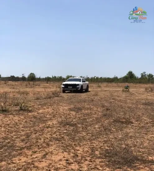 ĐẤT NÔNG NGHIỆP XÃ HÒA THẮNG ,LÂM ĐỒNG, CHỈ 80 TRIỆU Sổ hồng riêng - Ảnh 3